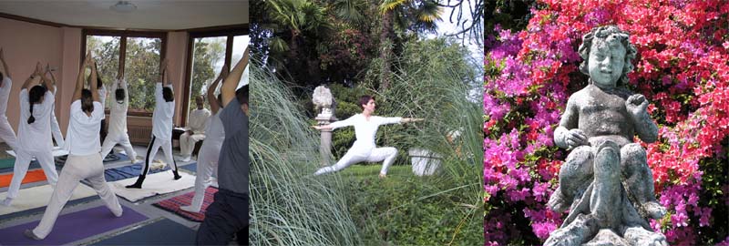 Hathayoga nach Yesudian
